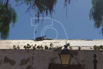 Bomberos de Telde retiran de una nave abandonada planchas desprendidas del techo (Foto TA)